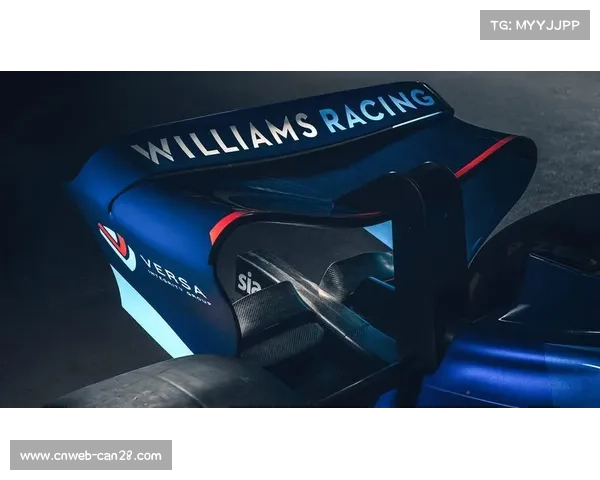 阿尔本与威廉姆斯车队续约两年 合作关系延续至2025赛季